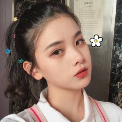 落樱起武游戏